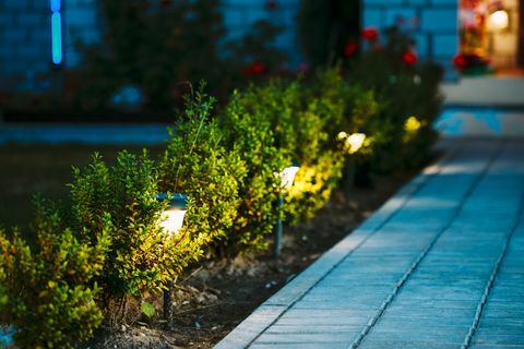 nachtzicht van bloembed met bloemen verlicht door energiebesparende lantaarns op zonne-energie langs de weg op de binnenplaats die naar het huis gaat