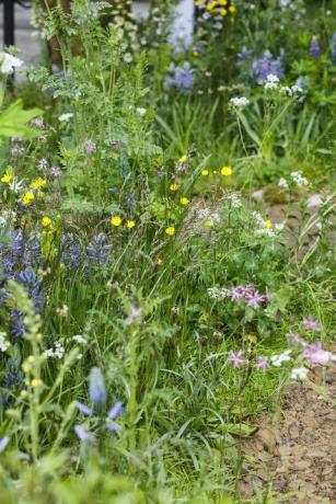 Chelsea Flower Show 2019 - Welcome to Yorkshire garden by Mark Gregory