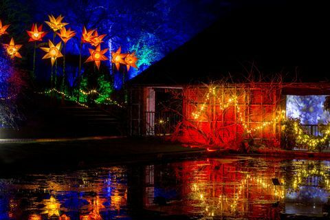 RHS Garden Wisley Christmas Glow-evenement