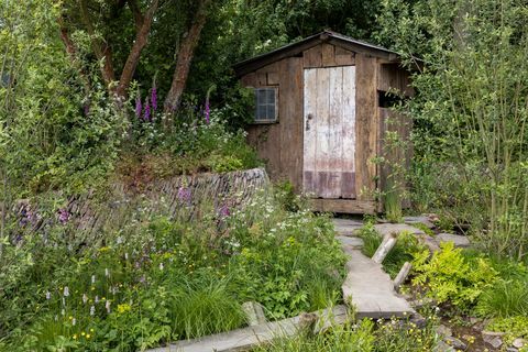 chelsea flower show 2022 een opnieuw wild landschap van Groot-Brittannië door lulu urquhart en adam hunt