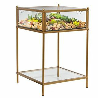 Terrarium Display eindtafel 