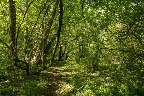 huisje met rieten dak te koop in Dolton, Winkleigh, Devon