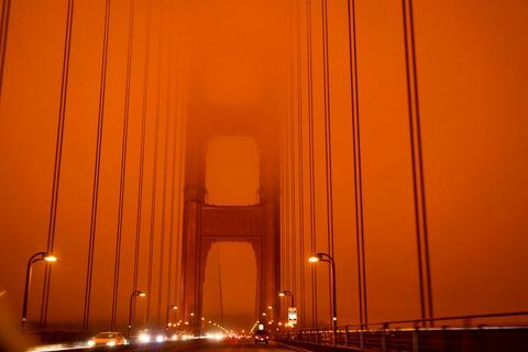 golden gate bridge bosbranden
