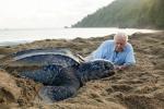 Sir David Attenborough steunt het Plastic Watch-initiatief van BBC na de 'verbazingwekkende' impact van Blue Planet II