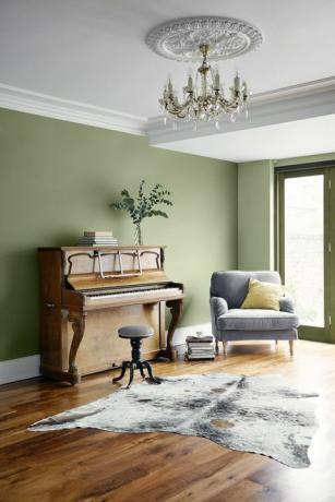 Valspar Bookcase collection paint - Wind in the Wilows and Emma