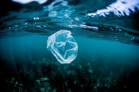 Plastic zak die over ertsader in de oceaan drijft, Costa Rica