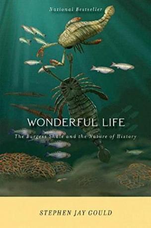 Wonderful Life: The Burgess Shale en de aard van de geschiedenis