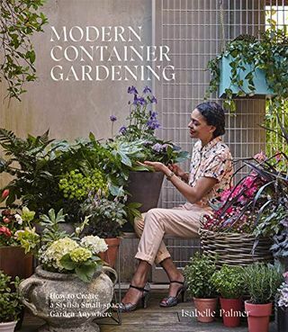 Modern Container Gardening: hoe u overal een stijlvolle kleine tuin kunt creëren
