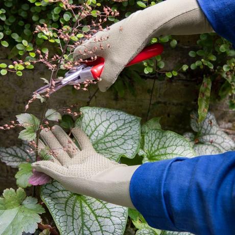 Tuinhandschoenen voor dagelijks gebruik 