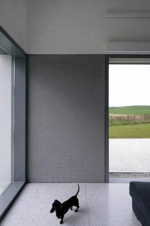 House Lessans, een prachtig eenvoudig huis in County Down ontworpen door McGonigle McGrath, is uitgeroepen tot RIBA House of the Year 2019