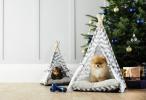 Aldi Special Buys: Aldi verkoopt £ 39,99 huisdier slaapbank voor Kerstmis