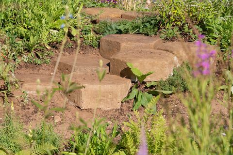 Countryfile's 30th Anniversary Garden. Ontworpen door: Ann-Marie Powell. Feature Garden. RHS Hampton Court Palace Flower Show 2018