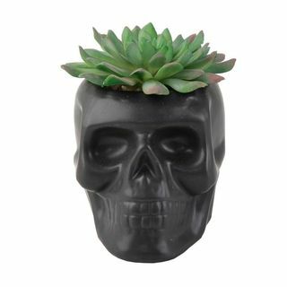 Zwart mat keramische schedel succulent