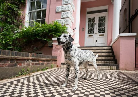 Albert Terrace, eigendom dat 101 Dalmatiërs te koop heeft geïnspireerd