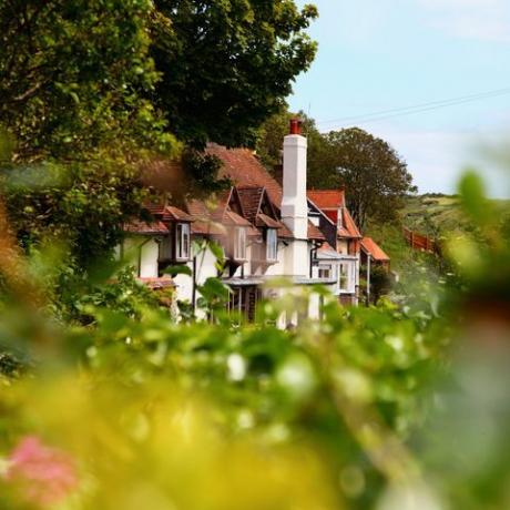 huizen in landelijk landschap