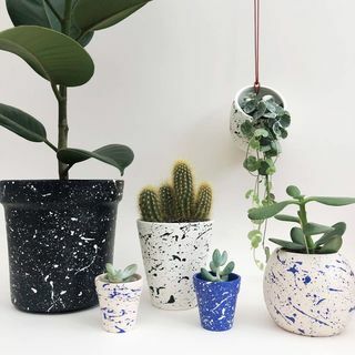 Mini Splatter Plant Pots Kies uw kleuren