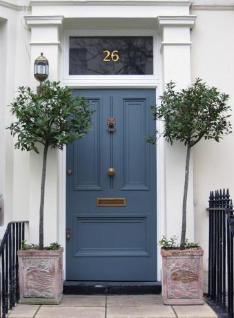 blauwe voordeur met plantenbakken Londen
