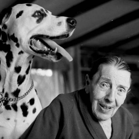 dodie smith met dalmatische hond