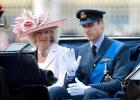 Koningin Camilla is geen "stiefgrootmoeder" van de kinderen van prins William
