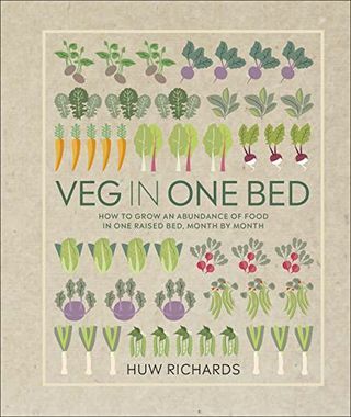 Vegetarisch in één bed: hoe je maand na maand een overvloed aan voedsel kunt kweken in een verhoogd bed