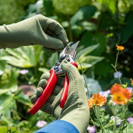 Tuinhandschoenen voor dagelijks gebruik