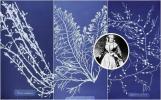 Internationale Vrouwendag: het door Anna Atkins geïnspireerde botanische behang is gewoon elegant