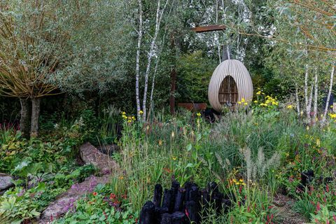 rhs chelsea flower show 2021 showtuinen