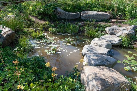 Countryfile's 30th Anniversary Garden. Ontworpen door: Ann-Marie Powell. Feature Garden. RHS Hampton Court Palace Flower Show 2018