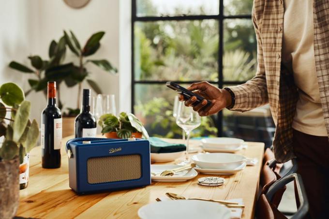 roberts radio blue dining room crittal doors