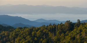 Great Smoky Mountains National Park