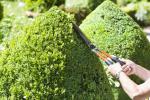 Een goed onderhouden tuin kan de waarde van uw eigendom verhogen met £ 2.000