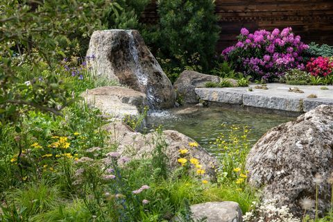 Chelsea Flower Show 2022 Sanctuary Garden