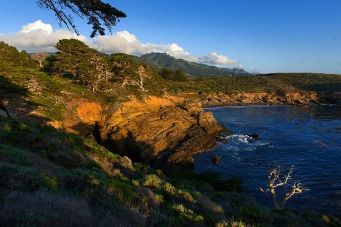 kustlijn en zee, Point Lobos State Natural Reserve Pacific Highway, Californië, Verenigde Staten