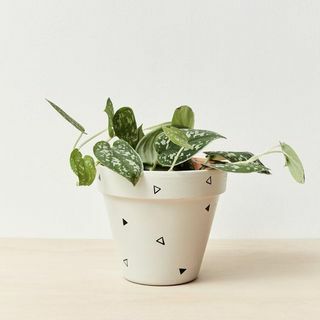 Handgeschilderde kamerplant pot 