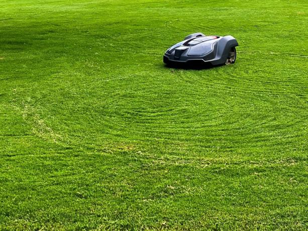 robot grasmaaier gras maaien