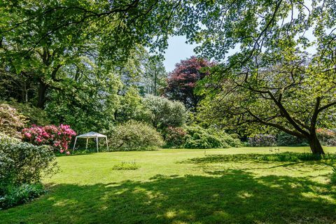 Stone Hall - Welsh Hook - Pembrokeshire - tuin - Op de markt