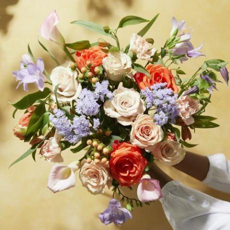 bloei en wilde valentijnsdagbloemen