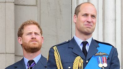 preview voor prinsen William en Harry Through the Year