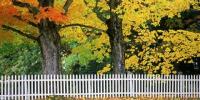 Fall Landscaping Tips & Ideeën