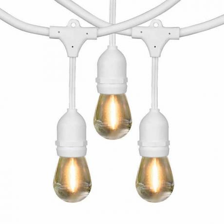 Feit Electric 48 'LED-gloeidraad lichtslingerset