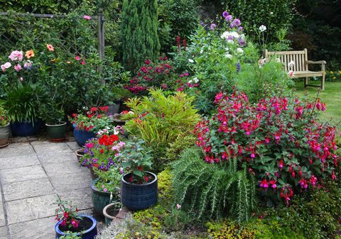Heldere bloemen in Engelse tuin met terraspotten en bloembedden.
