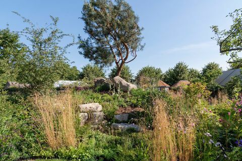 Countryfile's 30th Anniversary Garden. Ontworpen door: Ann-Marie Powell. Feature Garden. RHS Hampton Court Palace Flower Show 2018