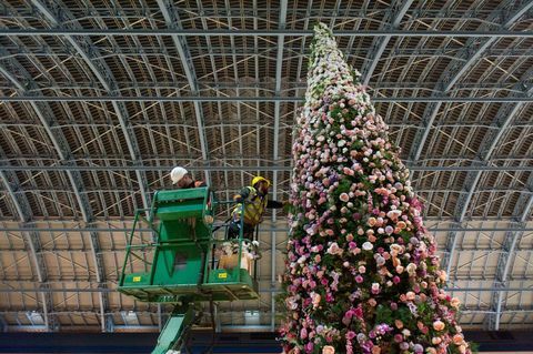 47ft bloemenkerstboom onthuld op St Pancras International station, Londen.
