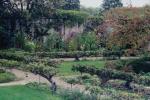Garden Secrets of Bunny Mellon: de meest waardevolle lessen van een van de beroemdste tuinmannen uit de geschiedenis