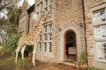 Giraffen gaan met je mee ontbijten door een raam in dit betoverende landhuishotel