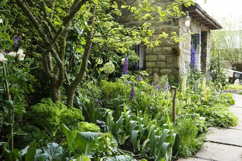 Chelsea Flower Show 2019 - Welcome to Yorkshire garden by Mark Gregory