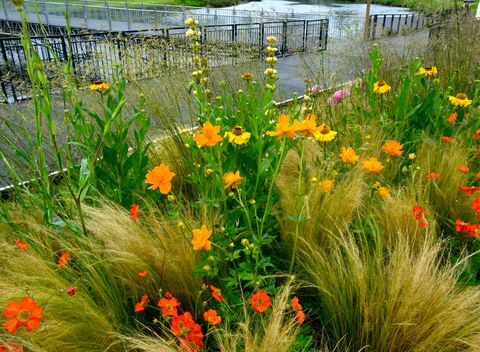 RHS Chatsworth Flower Show - bloemenranden