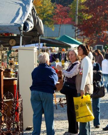 Mensen, Openbare ruimte, Boom, Geel, Blad, Menigte, Markt, Herfst, Voetgangers, Gebeurtenis, 