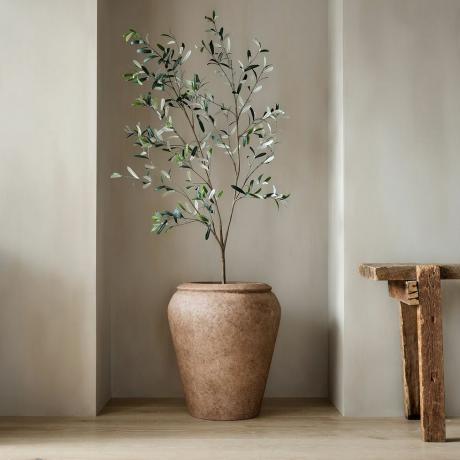 Namaak ingemaakte olijfboom