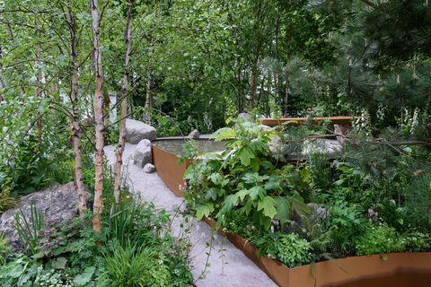 Family Monsters Garden, ontworpen door Alistair Bayford - Chelsea Flower Show 2019